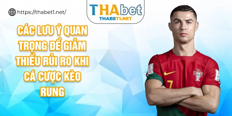 Các lưu ý quan trọng để giảm thiểu rủi ro khi cá cược kèo rung