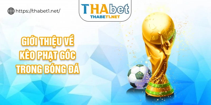 Giới thiệu về kèo phạt góc trong bóng đá