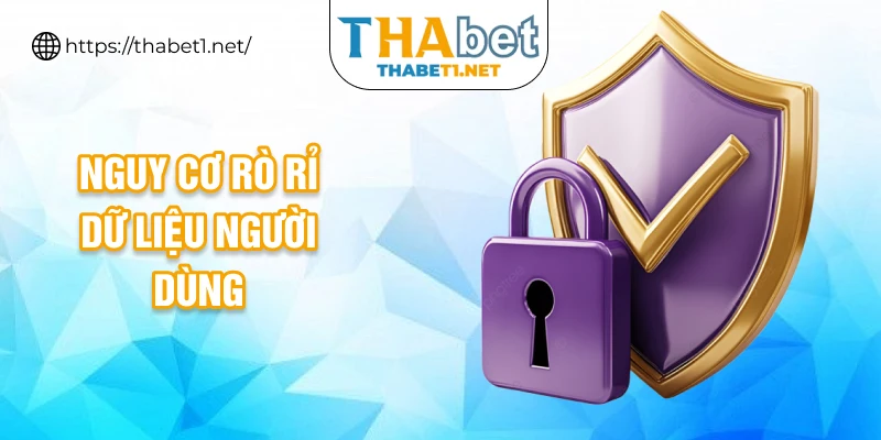 Nguy cơ rò rỉ dữ liệu người dùng